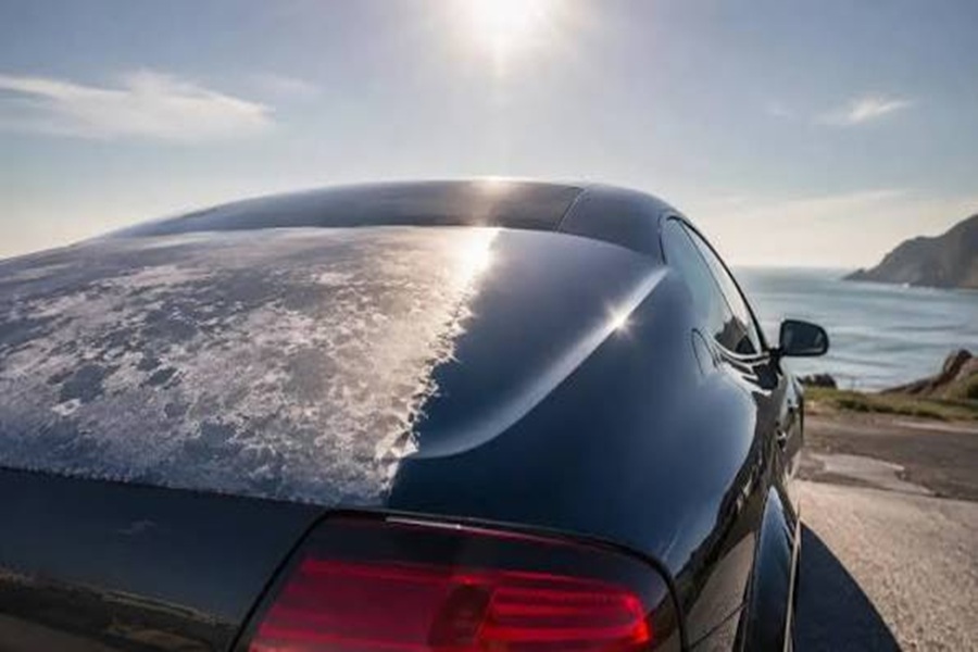 Clear Coat Failure: Why the Sun Destroys Paint and How It’s Fixed